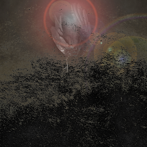 Hallucination copy.png
