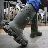 header content image-1_edited.jpg