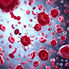 Oxygen-rich red blood cells boosted by Hyperbaric Oxygen Therapy (HBOT) at Apple Wellness Studio in York