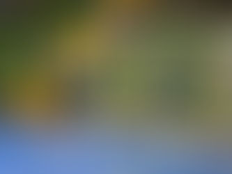 Orotina Futsal buscará semifinal de Copa en Puriscal tras perder ante Hatillo