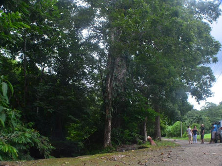 Vecinos denuncian daños en Ecoparque, pero Asoc. de Desarrollo lo desmiente