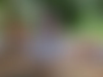 Así celebró San Mateo el 15 de setiembre