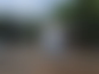 Operativos de Fuerza Pública y Tránsito rinden resultados