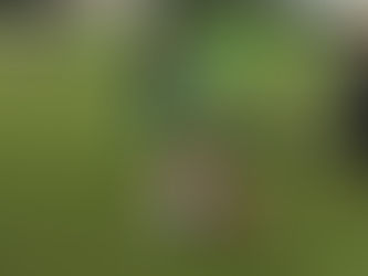 Arbitraje polémico truncó sueño de Futbol Consultants