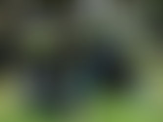 Fuerza Pública Orotina pone resistencia a delitos en el cantón