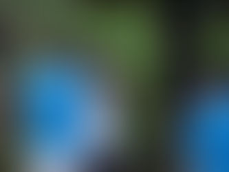 Ley limita fotos con animales silvestres