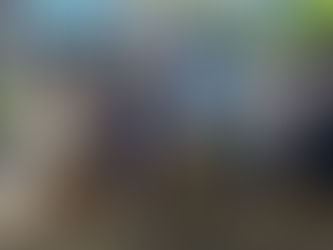 "Rescate de tradiciones" en CTP Ricardo Castro, superó expectativas