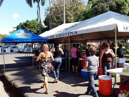 Gollo-bingo; todo listo para el sábado