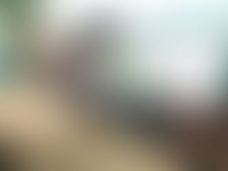 Manos artesanas de Orotina abrió mercado