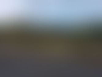 Diputado pide investigar construcción de gasolinera en el Roble de Puntarenas