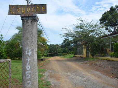 Los procesos de expropiación serán más rápidos