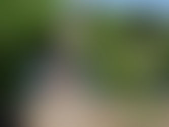 En un año se podría construir puente nuevo en Cebadilla