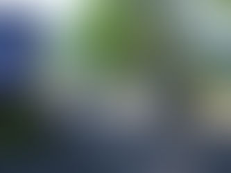 Cocodrilos del río Tárcoles están enfermos