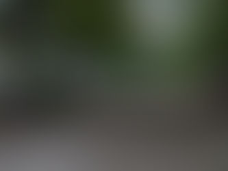 Empleados tendrán asueto parcial el 8 de agosto