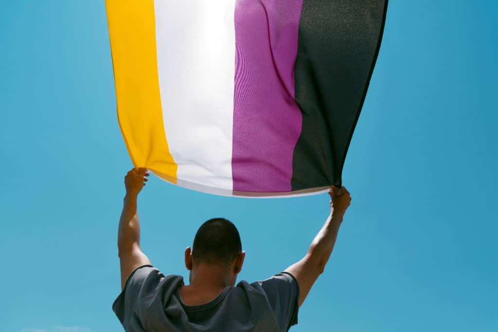 Nonbinary flag