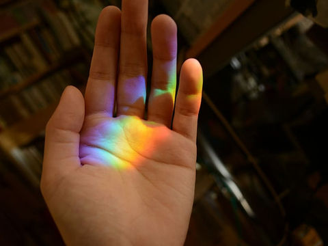 Victory for LGBTI+ people in Bulgaria