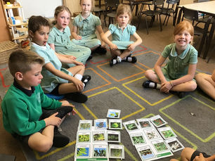Class 1 News