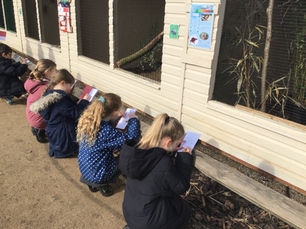 World Book Day and Trip to the Wildlife Park