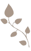 葉
