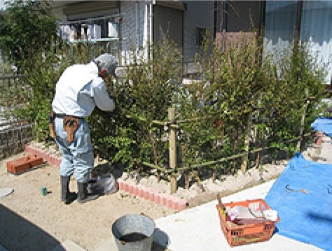 植栽