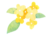 黄色い花