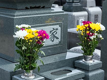 墓地の清掃