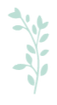 草