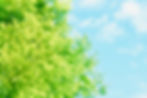夏
