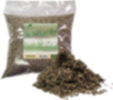 Mullein Leaf Cut & Sifted 1/2 Pound Bulk Bag-Velvet Dock or Velvet Plant aka Can