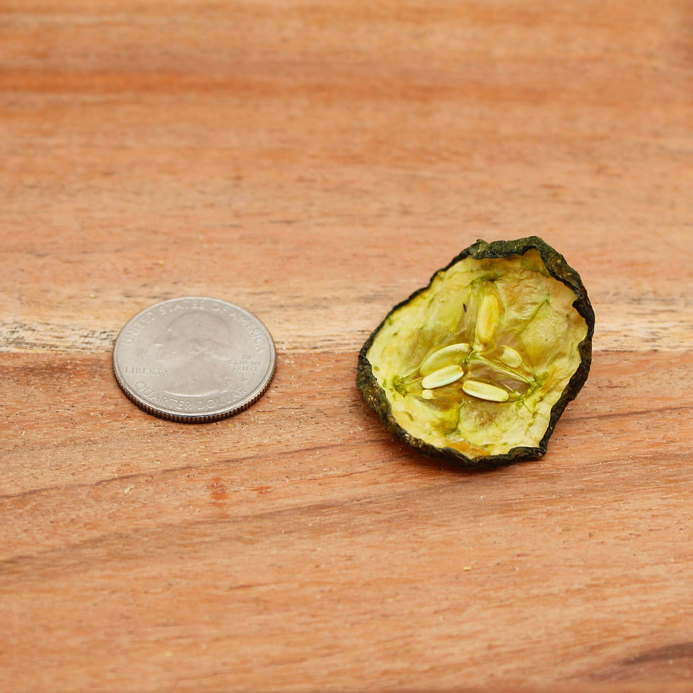 Thumbnail: Crunchy Dehydrated Cucumber Sliced 16oz Bag – Veggie Crisps with Fresh Green Aro