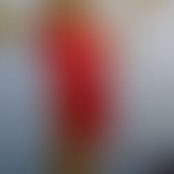 Yarımada Postası Ekim 2023 Yaşasın Cumhuriyet!