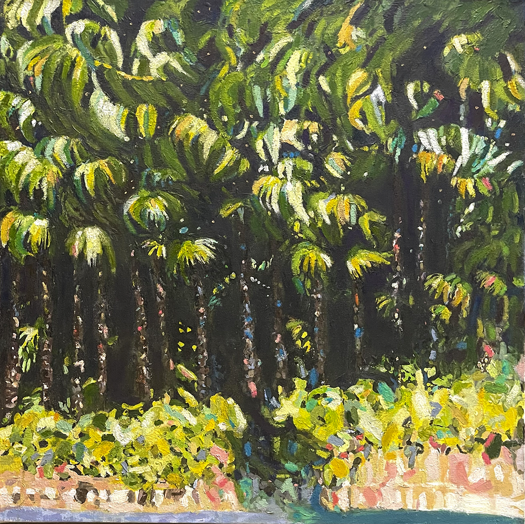Charming Palm Trees