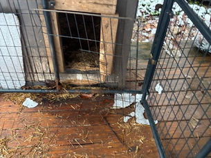 Gunner's Kennel