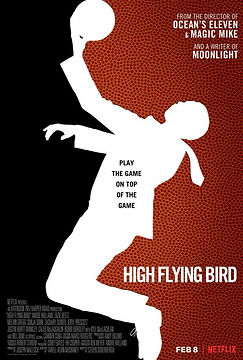 High_Flying_Bird.jpeg