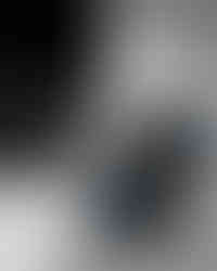 Texto em card Caporal