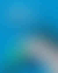 Conteúdo visual produzido pela Caporal Comunicação para fortalecer branding e engajamento digital.