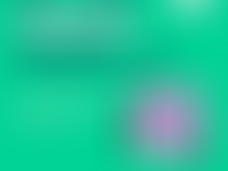 Qual o melhor horário para postar nas redes sociais?