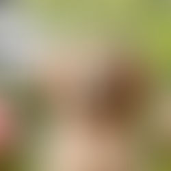 De ultieme gids voor zindelijkheidstraining van je pup