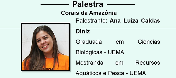 MJ Palestra.png