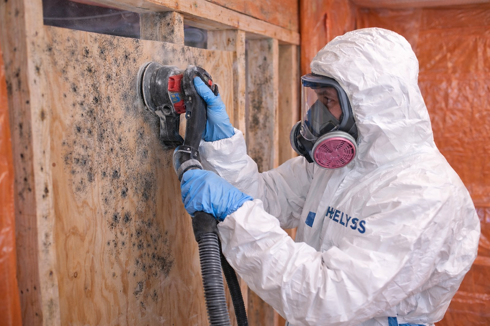 Travaux de décontamination de moisissures en milieu résidentiel