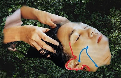 Edited kinesiology