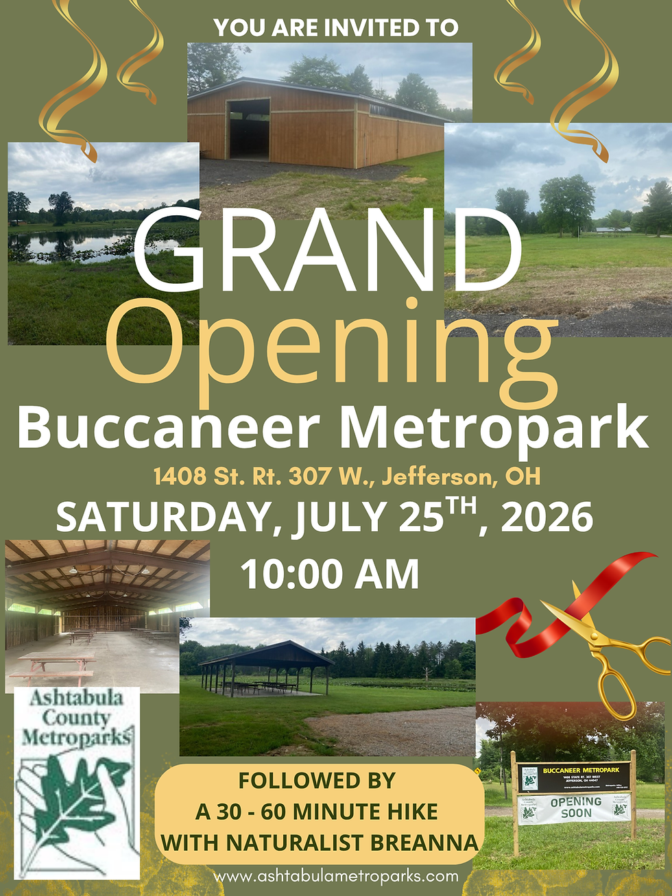 Buccaneer Metropark Grand Opening