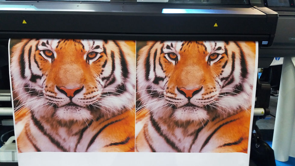 LP PRINT FLAG100-Com liner de papel