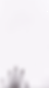 530384733_9921252494646853_3604085821309402571_n-ezgif.com-video-to-gif-converter-2.gif