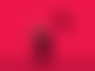 Does your company have a COVID policy?