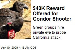 A REAL ACE VENTURA IS HIRED TO FIND CONDOR SHOOTER.$40K