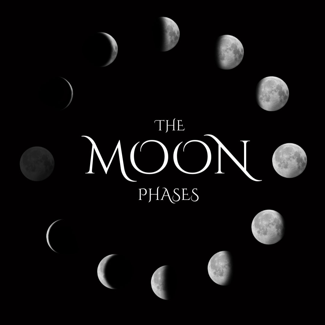 The Moon Phases