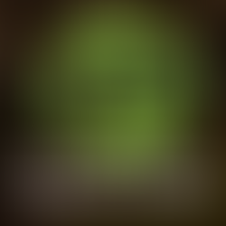 Get the Most Out of Your Personal Trainer