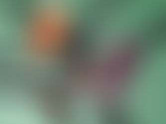 A BEAUTY NOVEMBER CHEGOU: O BOTICÁRIO LANÇA CENTRAL DE CARRINHOS ABANDONADOS EM CAMPANHA COM DESCONTOS DE ATÉ 70% NA MAIOR PROMOÇÃO DO ANO