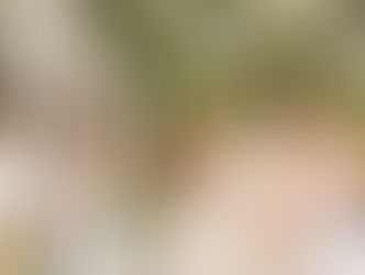 GRUPO L’ORÉAL NO BRASIL PROMOVE ‘CASA L’ORÉALISTAR’, PRIMEIRO EVENTO DEDICADO AO SEU PROGRAMA DE RELACIONAMENTO COM CRIADORES DE CONTEÚDO